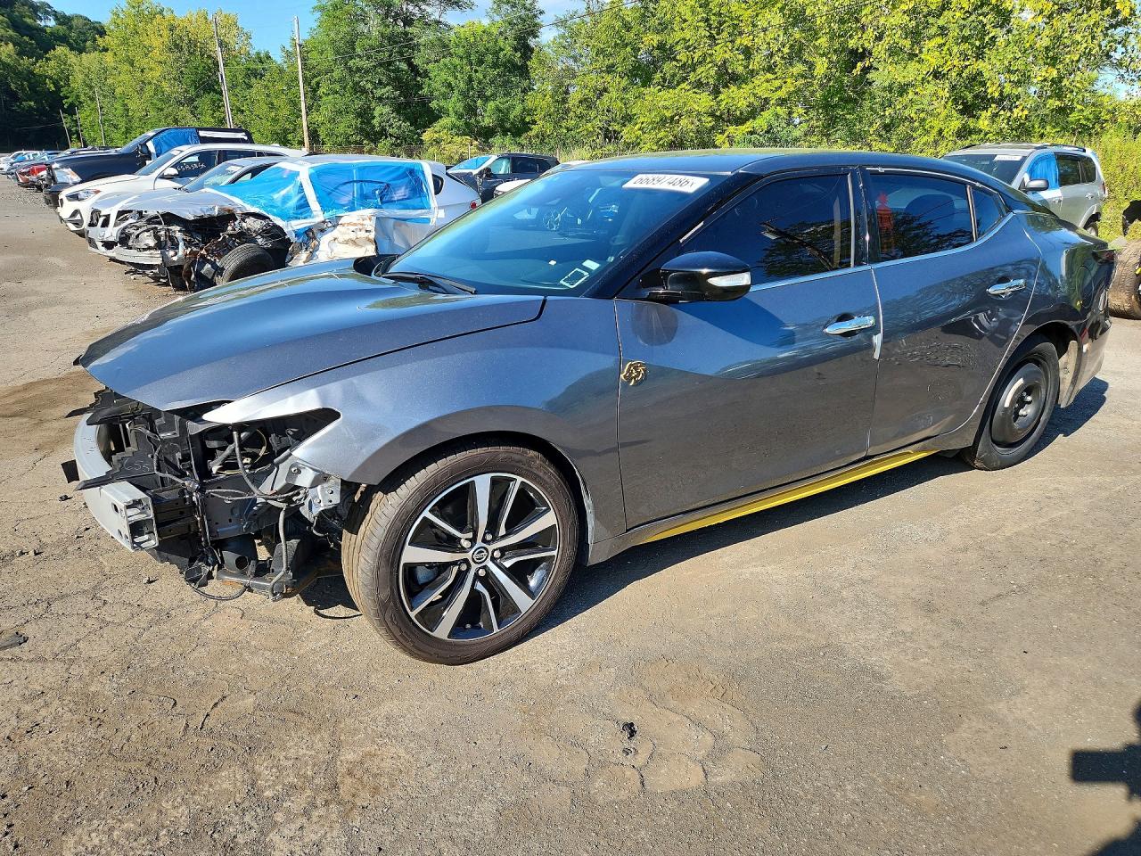 2023 Nissan Maxima Sv Gray vin: 1N4AA6CV0PC511329