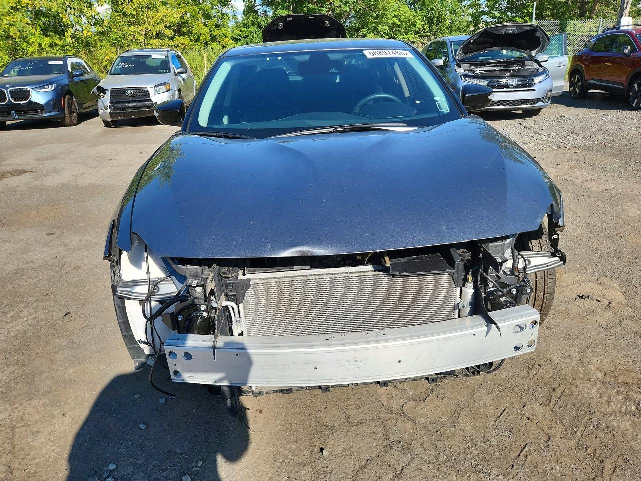 2023 Nissan Maxima Sv Gray vin: 1N4AA6CV0PC511329