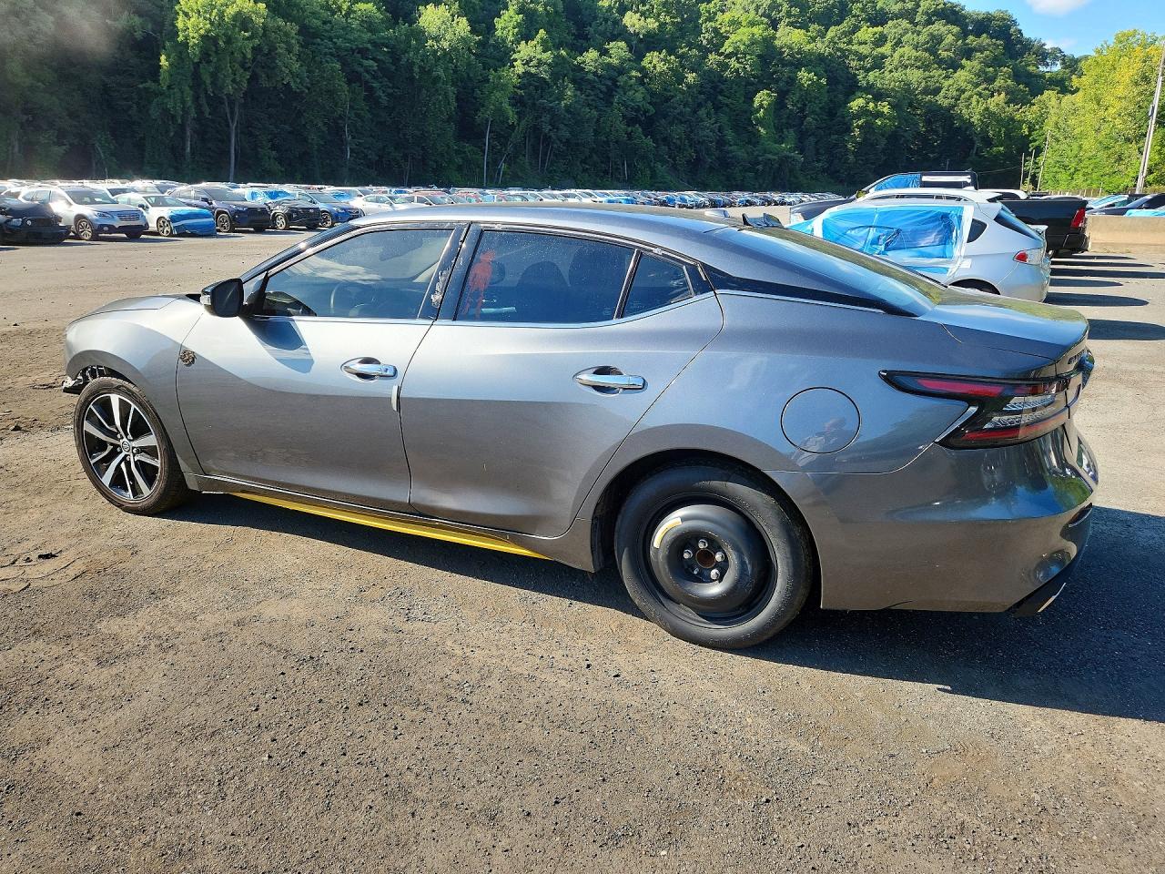 2023 Nissan Maxima Sv Gray vin: 1N4AA6CV0PC511329