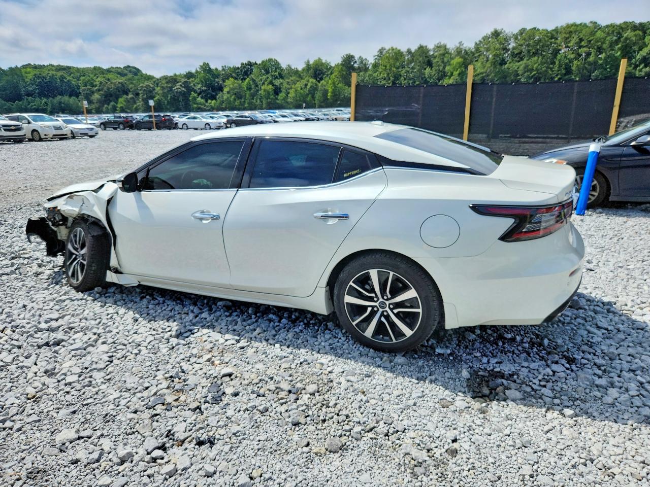 2023 Nissan Maxima Sv White vin: 1N4AA6CV1PC504633