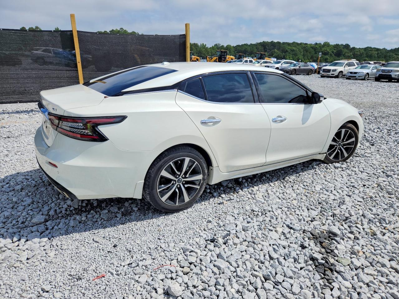 2023 Nissan Maxima Sv White vin: 1N4AA6CV1PC504633