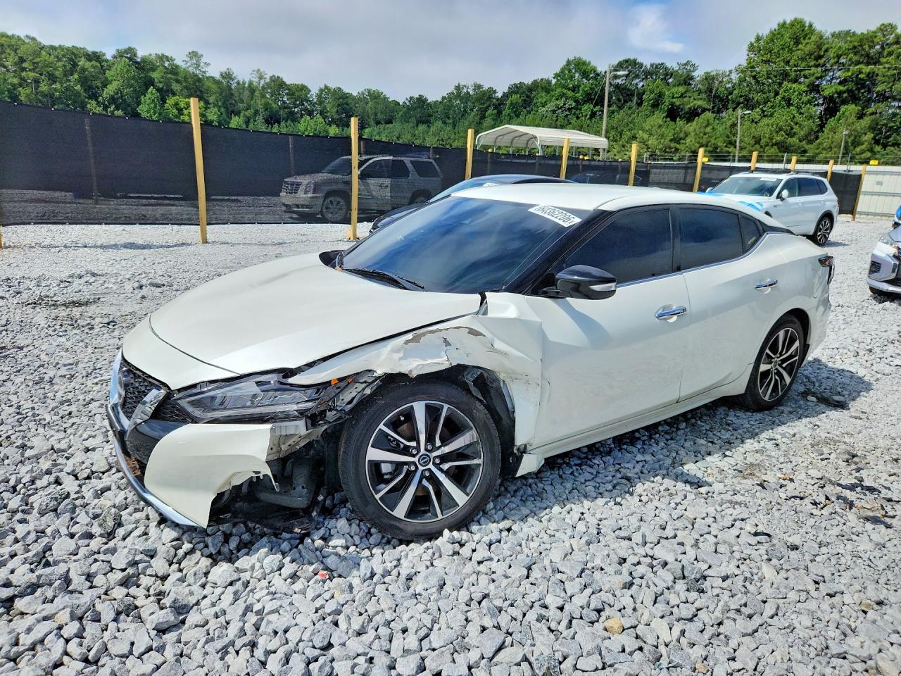 2023 Nissan Maxima Sv White vin: 1N4AA6CV1PC504633