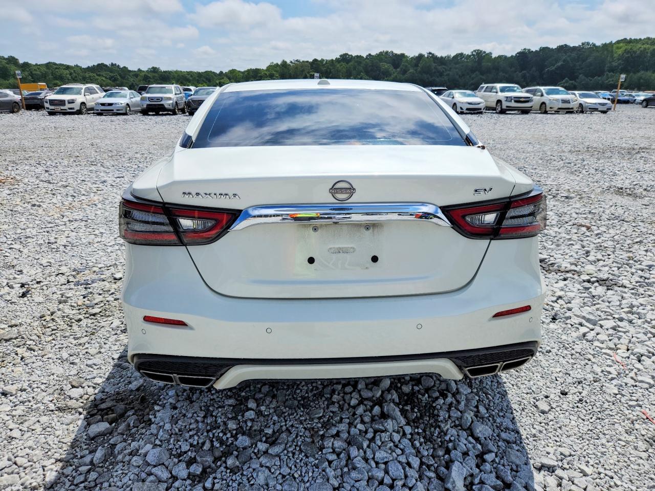 2023 Nissan Maxima Sv White vin: 1N4AA6CV1PC504633