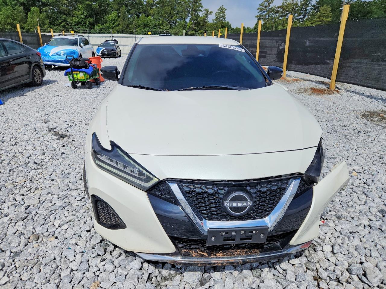 2023 Nissan Maxima Sv White vin: 1N4AA6CV1PC504633