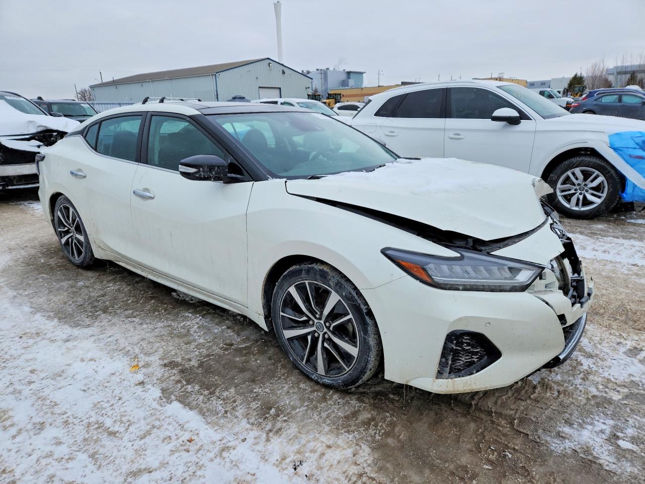 2021 Nissan Maxima Sl White vin: 1N4AA6DV7MC512505