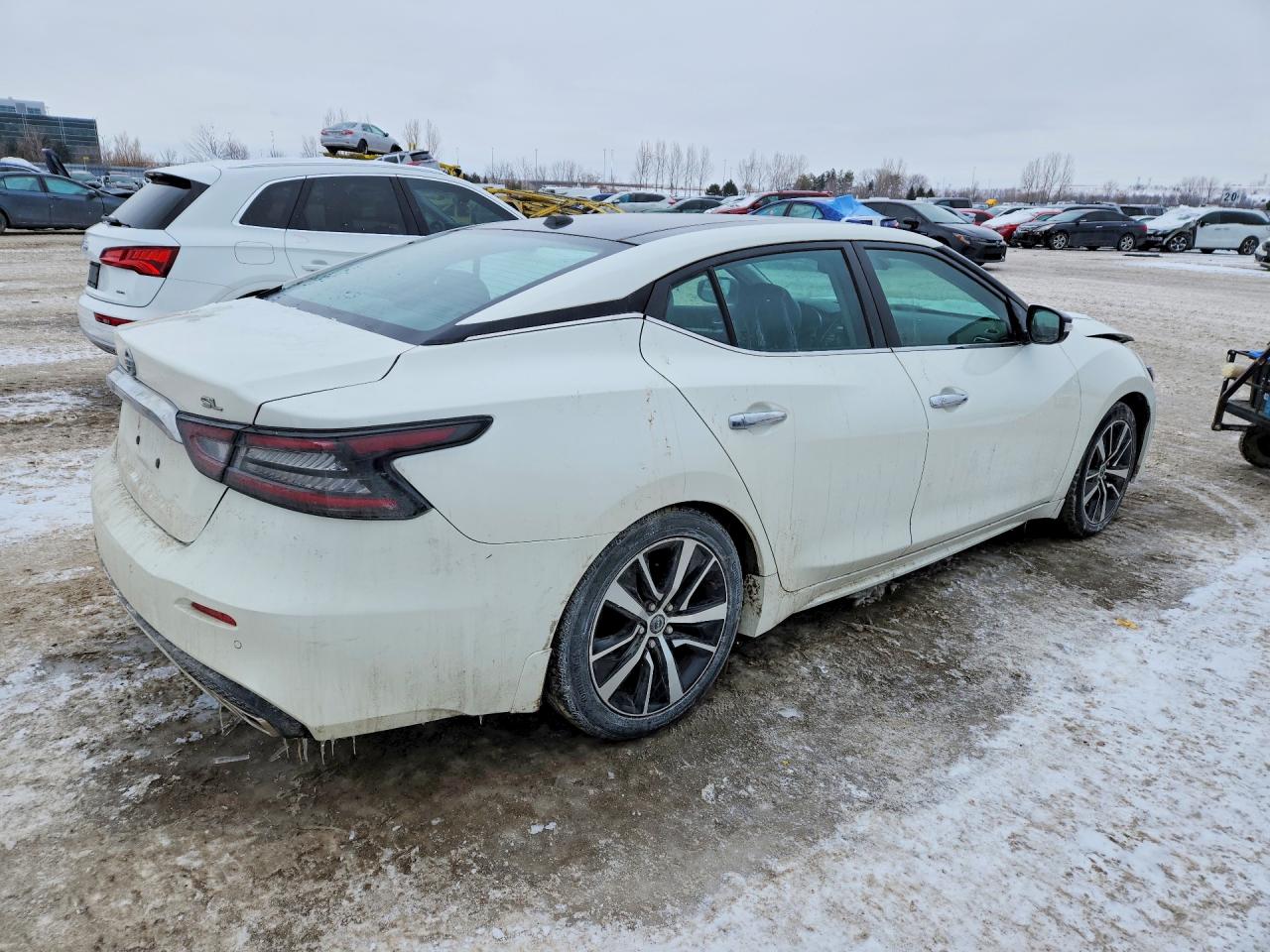 2021 Nissan Maxima Sl White vin: 1N4AA6DV7MC512505
