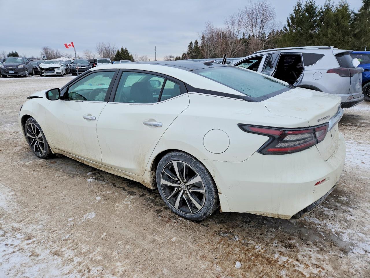 2021 Nissan Maxima Sl White vin: 1N4AA6DV7MC512505