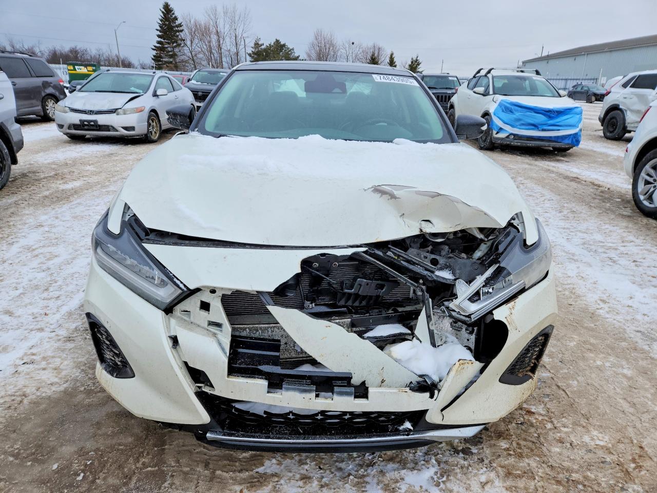 2021 Nissan Maxima Sl White vin: 1N4AA6DV7MC512505