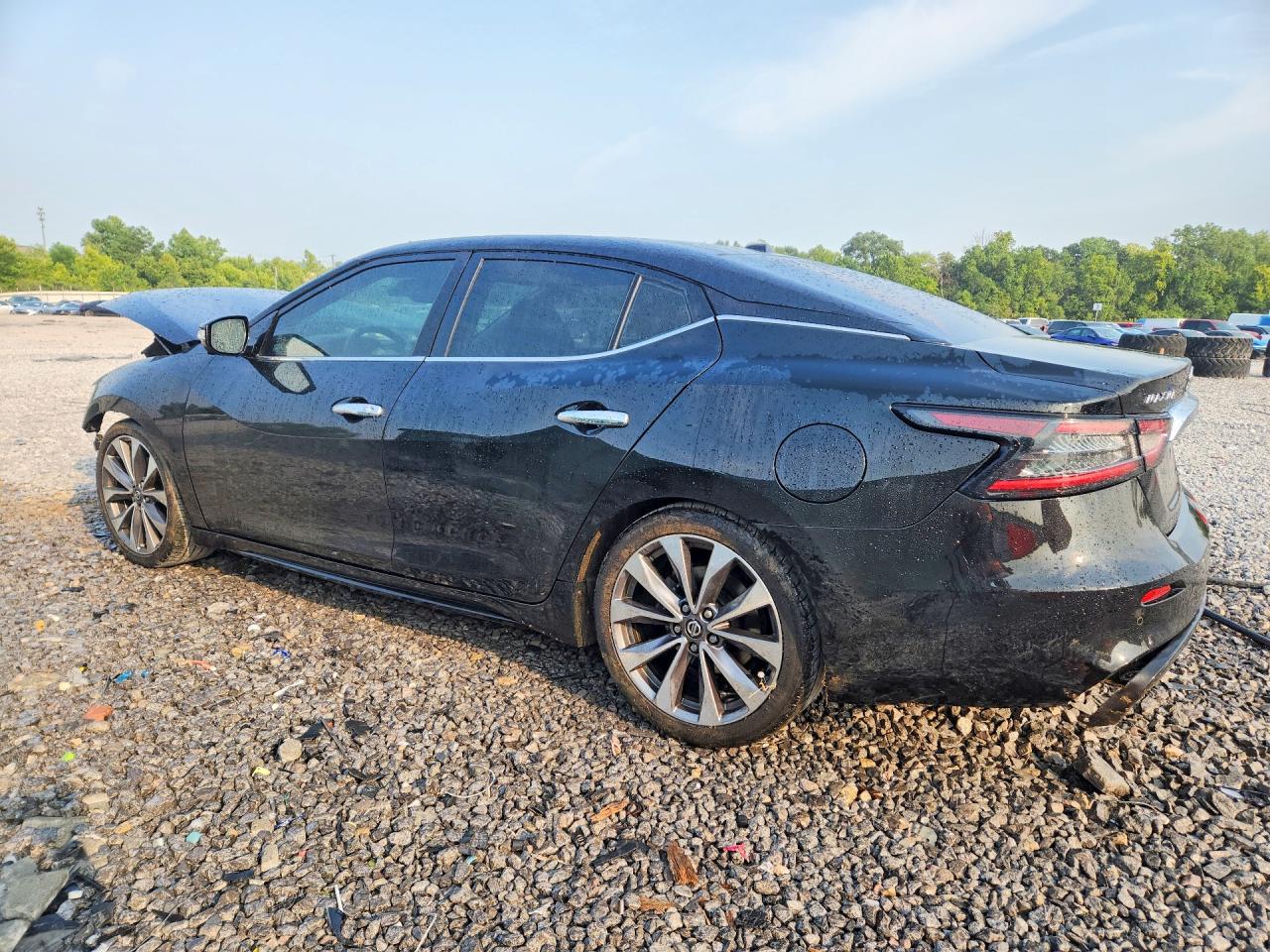 2020 Nissan Maxima Platinum Black vin: 1N4AA6FV0LC385303