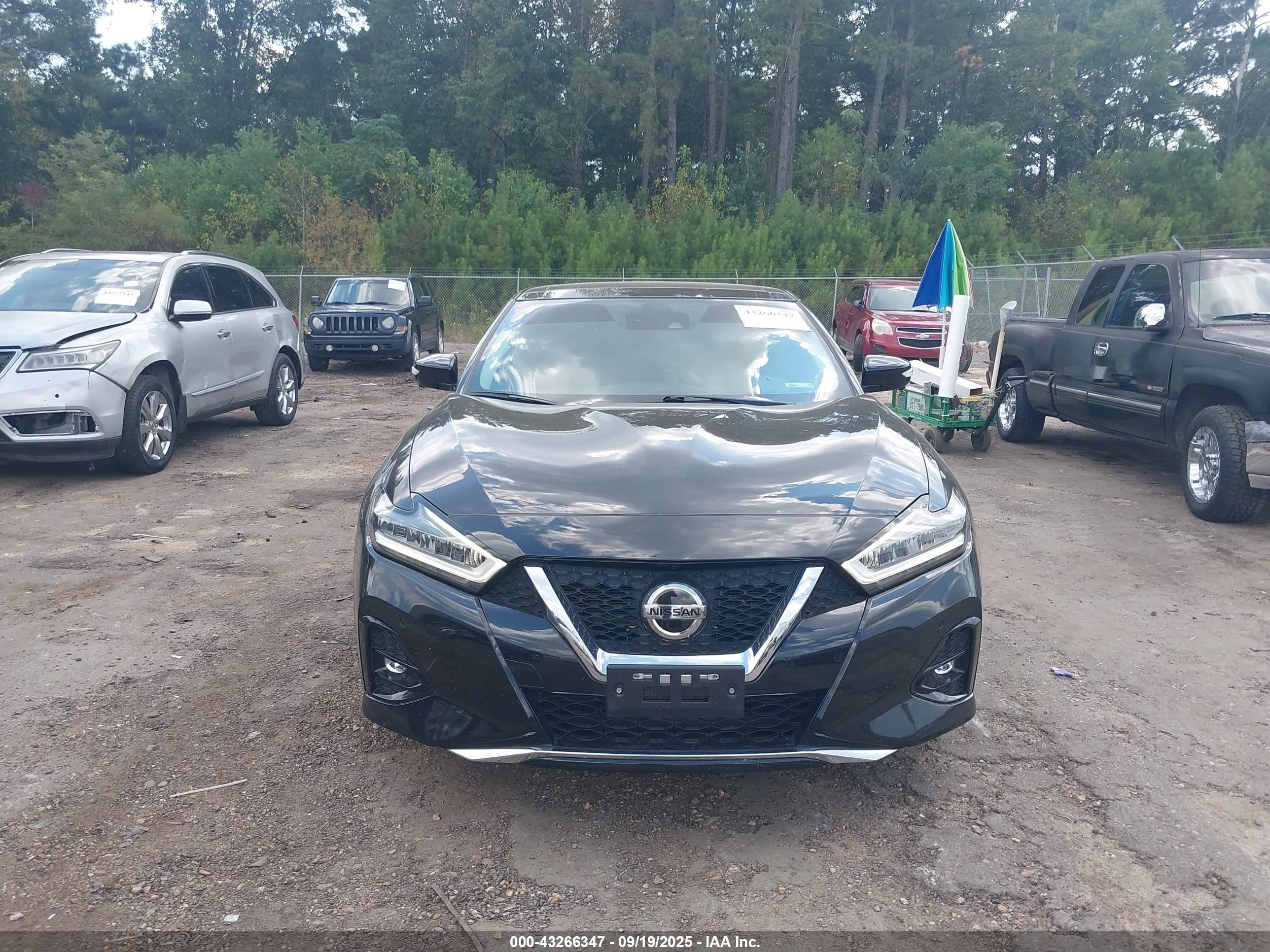 2021 Nissan Maxima Platinum Xtronic Cvt Black vin: 1N4AA6FV4MC516122