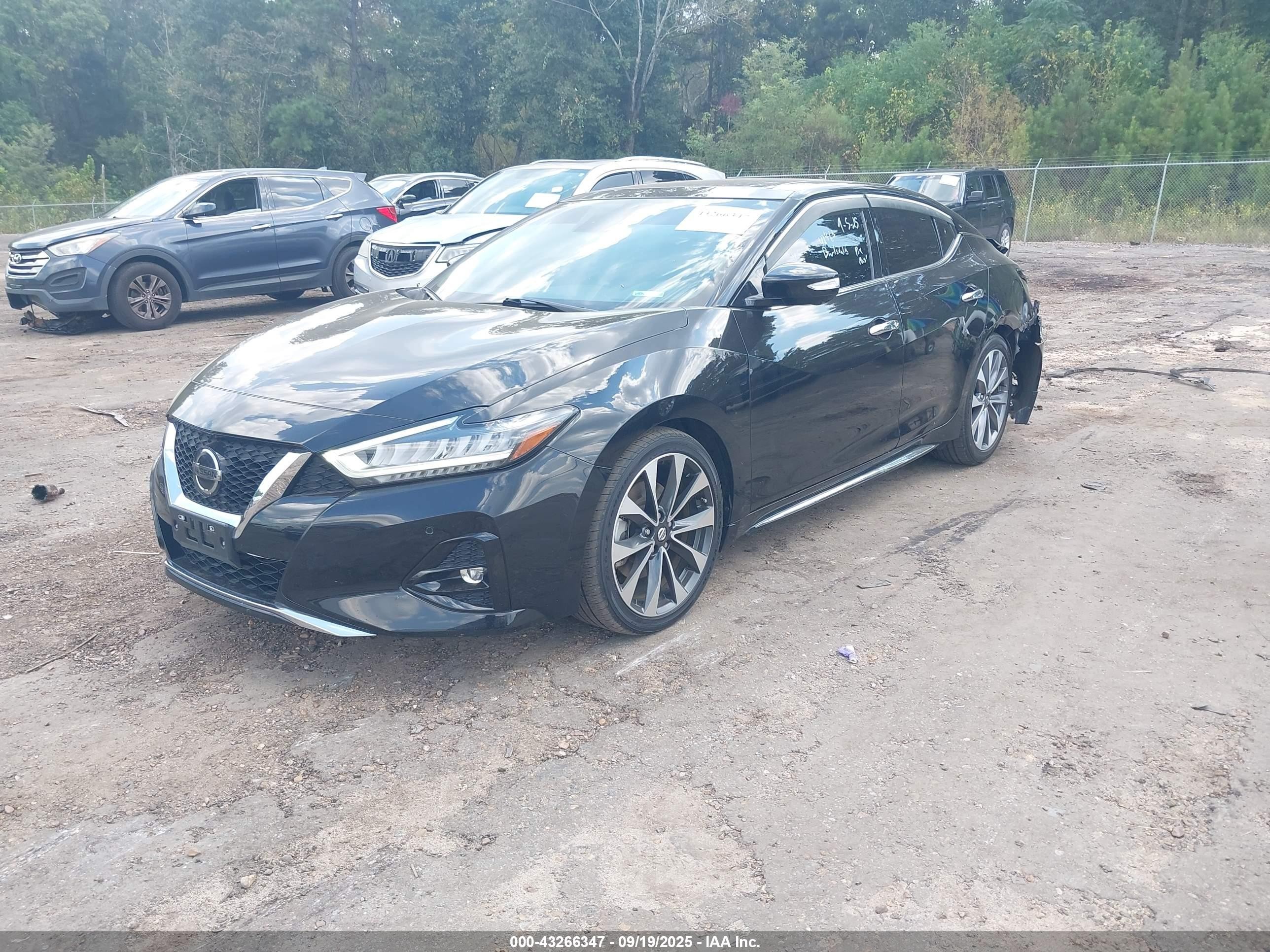 2021 Nissan Maxima Platinum Xtronic Cvt Black vin: 1N4AA6FV4MC516122