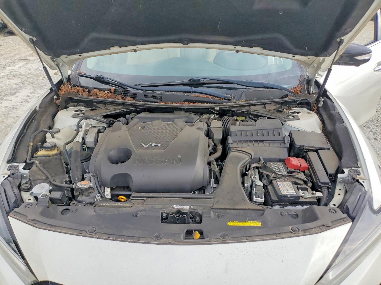2021 Nissan Maxima Platinum Серебряный vin: 1N4AA6FV9MC504712