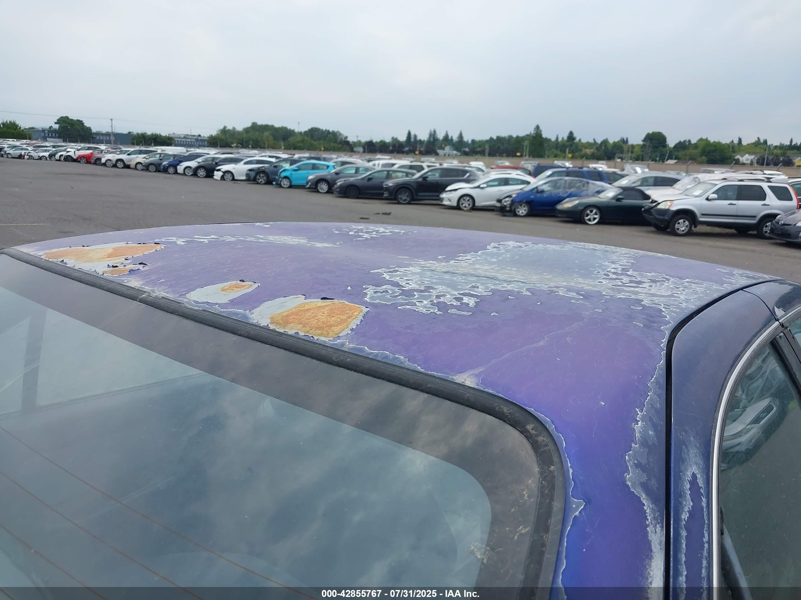 1997 Nissan Sentra Gle/gxe/xe Blue vin: 1N4AB41D5VC741831