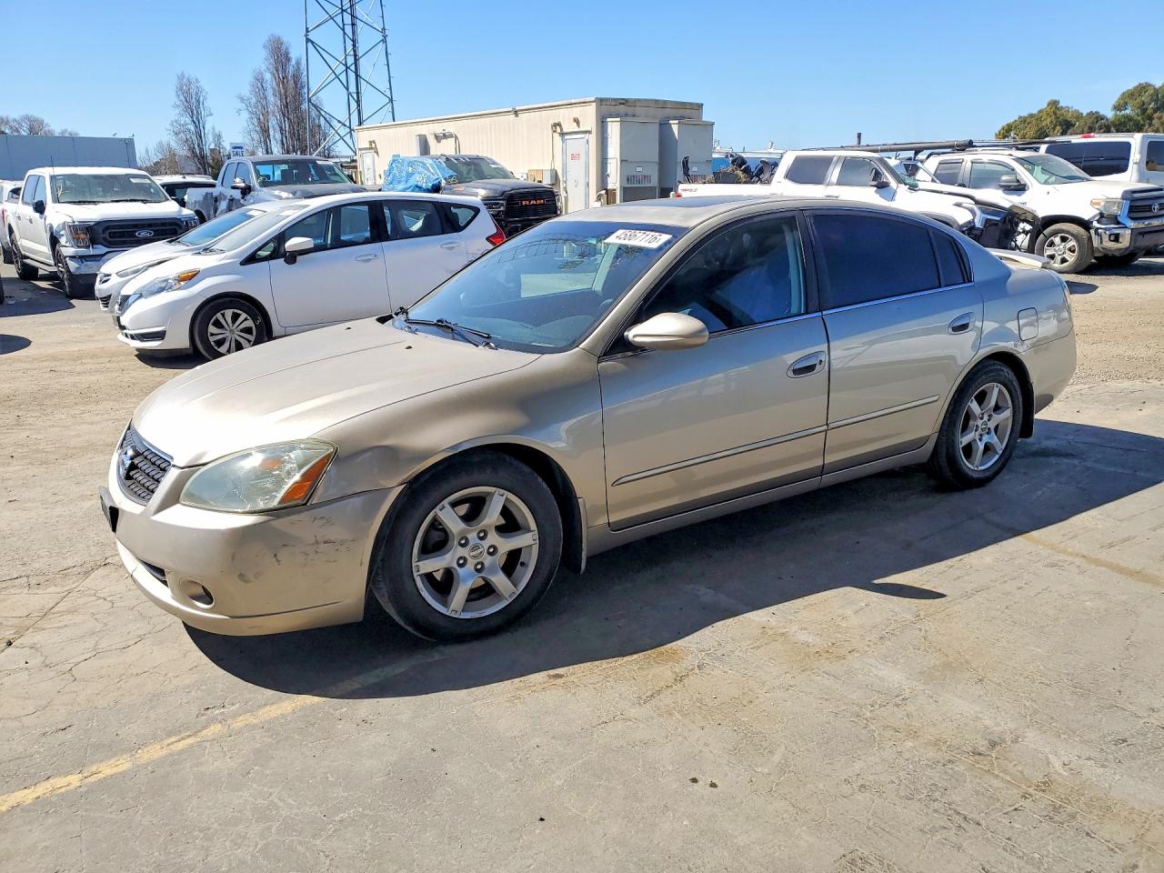 2006 Nissan Altima 2.5 Tan vin: 1N4AL11D06N403075