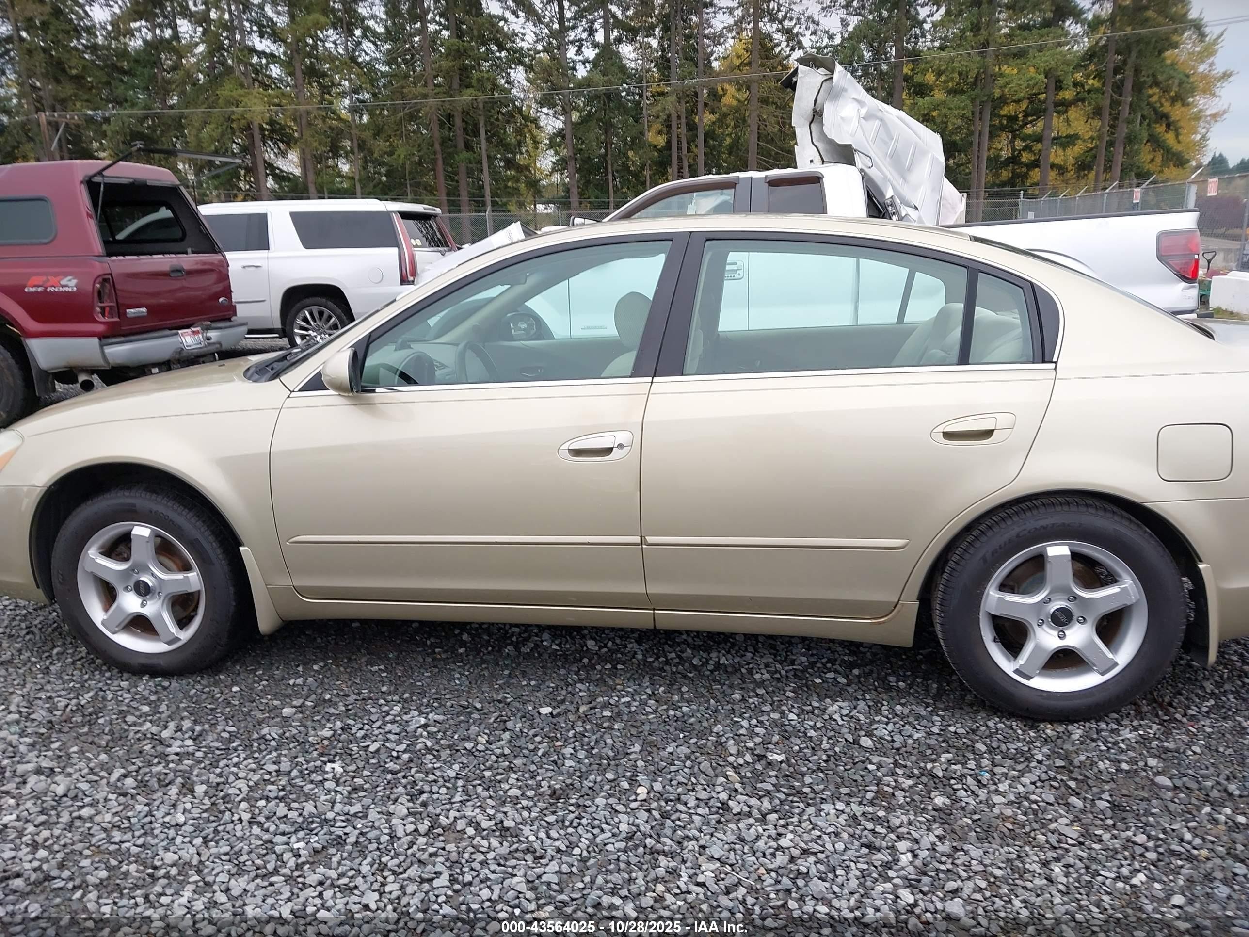 2003 Nissan Altima 2.5 S Gold vin: 1N4AL11D13C306085