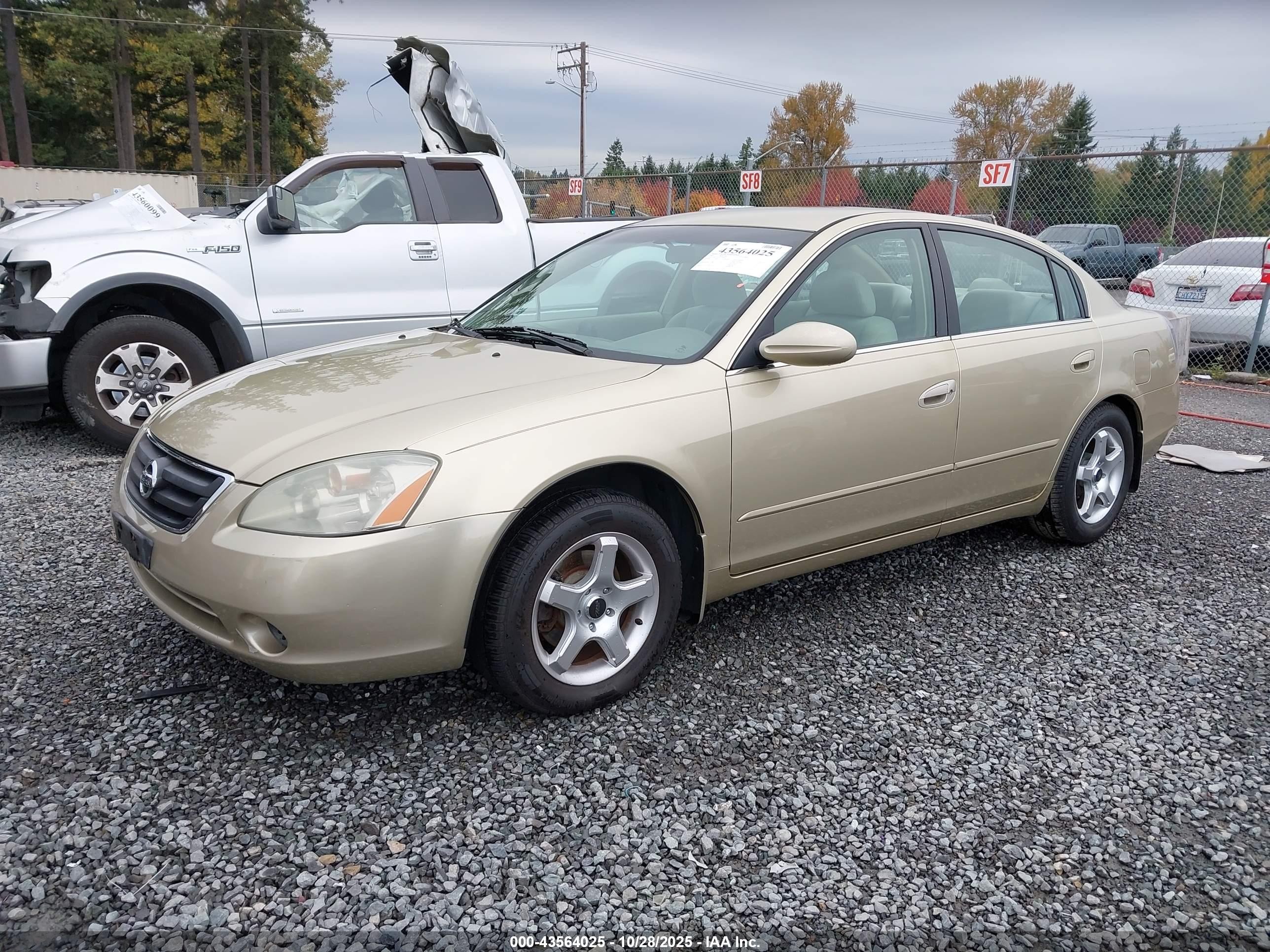 2003 Nissan Altima 2.5 S Gold vin: 1N4AL11D13C306085