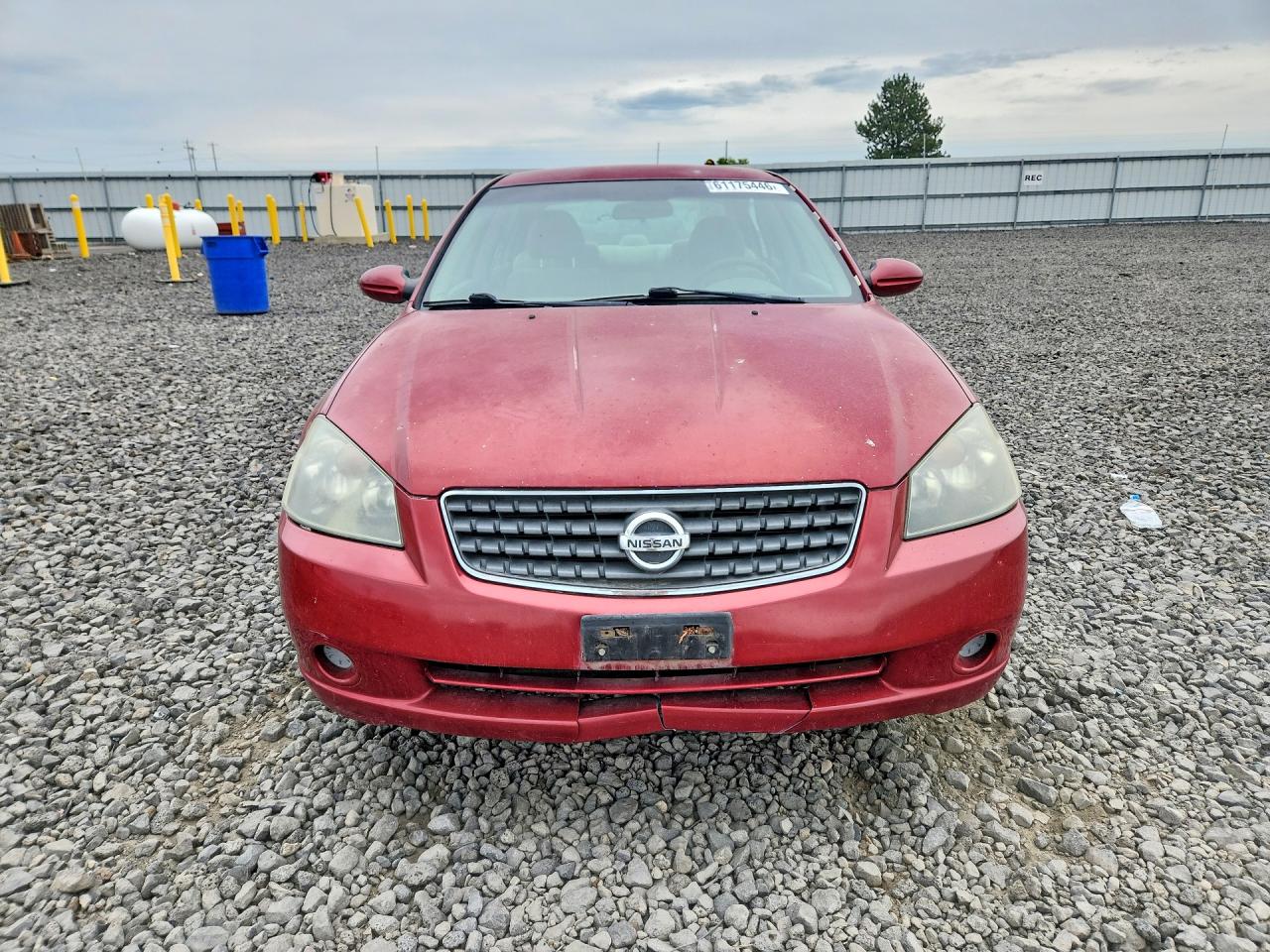 2005 Nissan Altima 2.5 Красный vin: 1N4AL11D15N458679