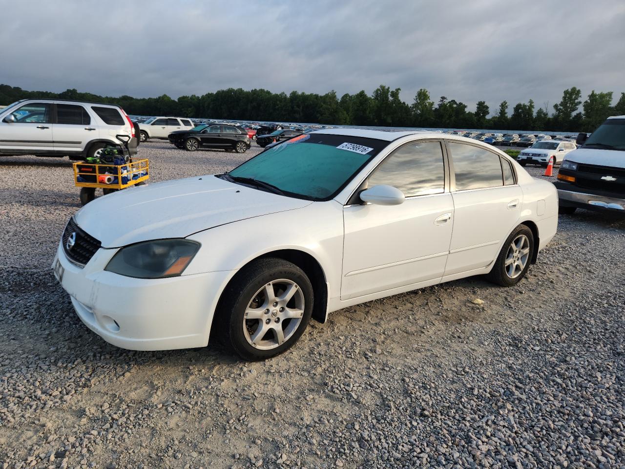 2006 Nissan Altima 2.5 Белый vin: 1N4AL11D26C206548