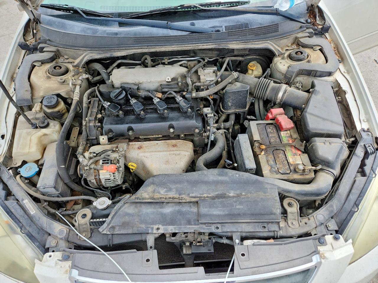 2004 Nissan Altima 2.5 White vin: 1N4AL11D74C178467