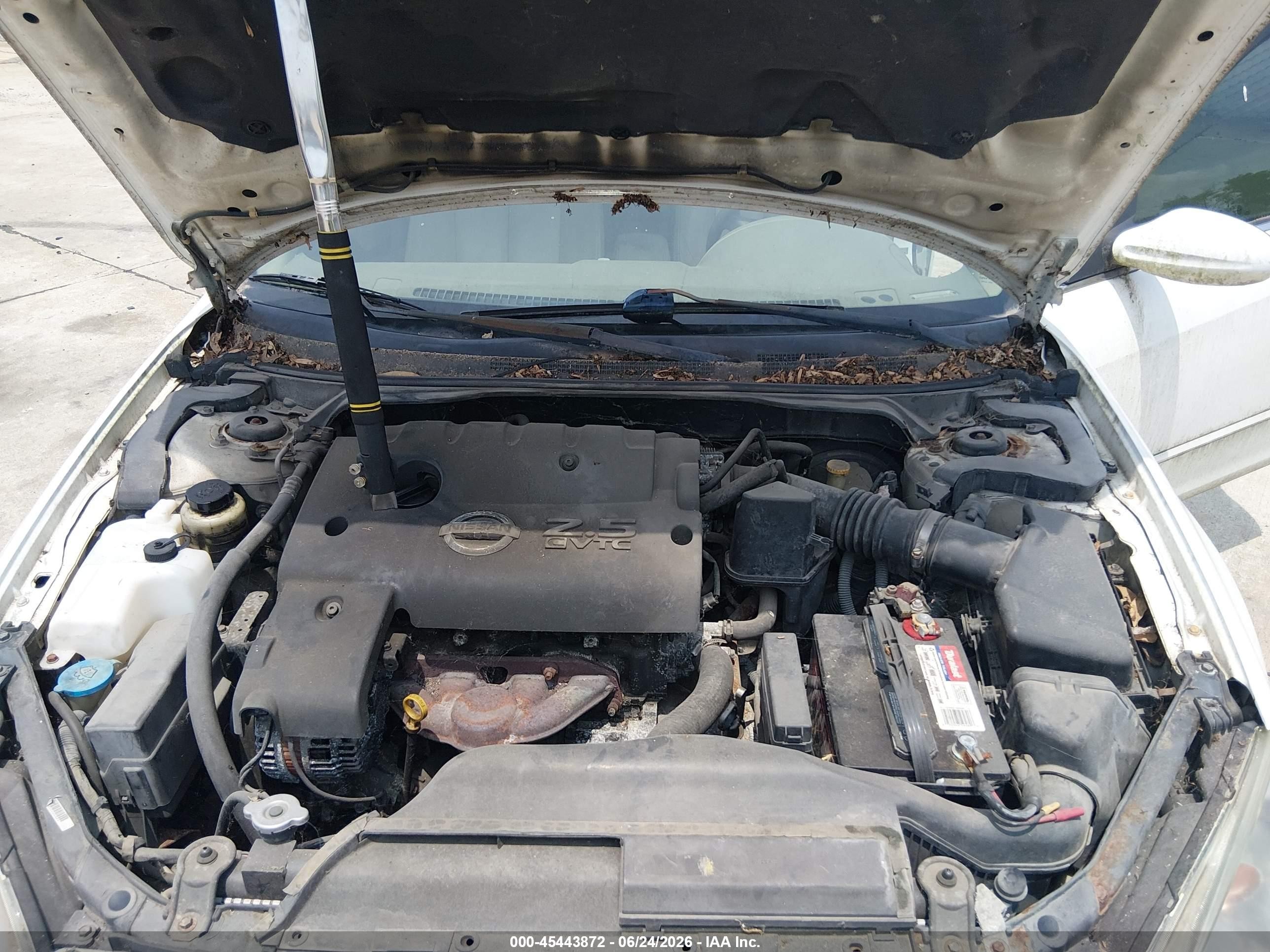 2003 Nissan Altima 2.5 Sl White vin: 1N4AL11D93C240305
