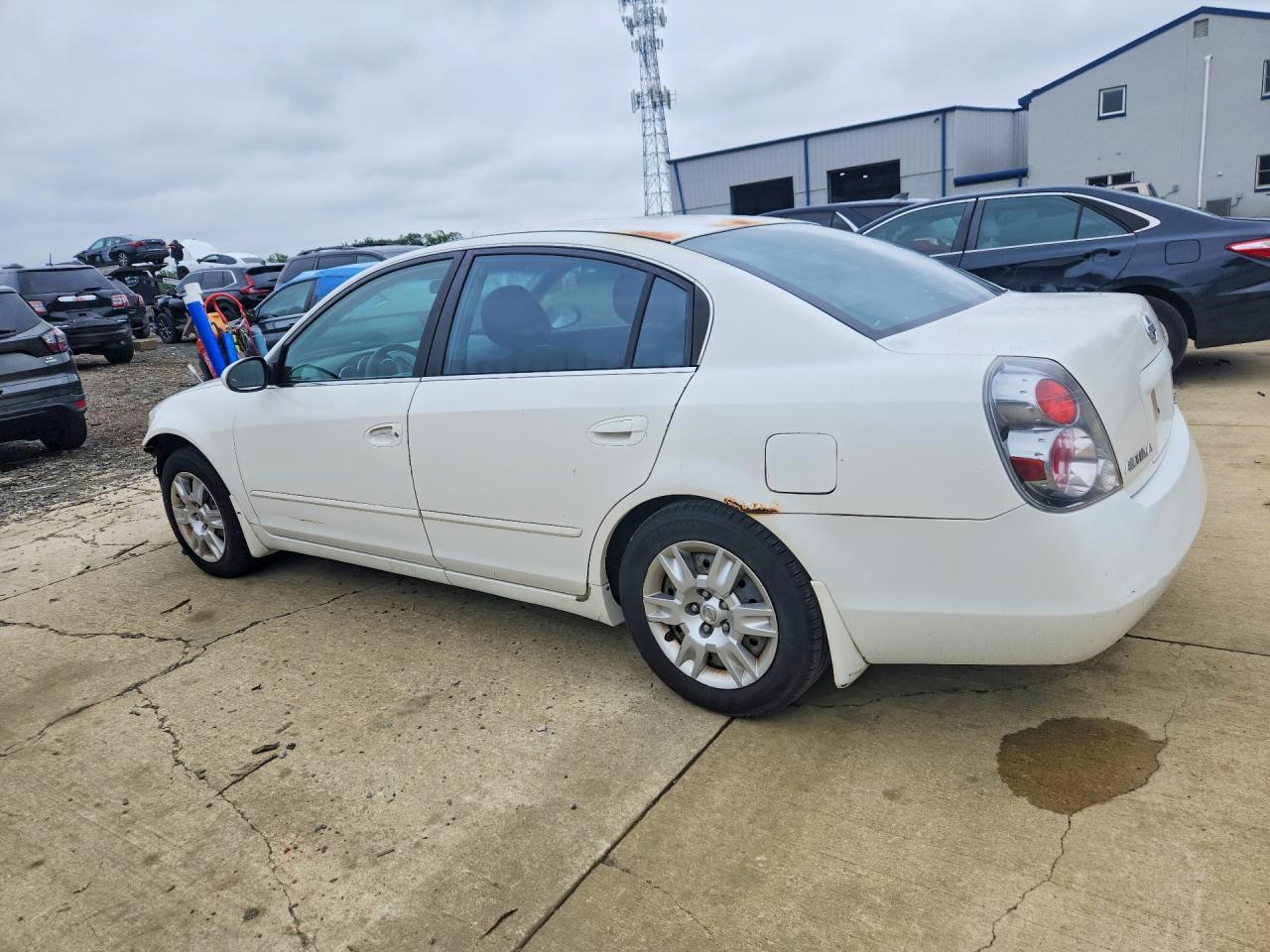 2005 Nissan Altima 2.5 White vin: 1N4AL11D95N465055