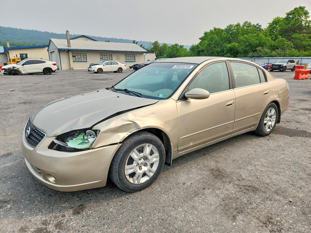2006 Nissan Altima 2.5 Tan vin: 1N4AL11D96C143237