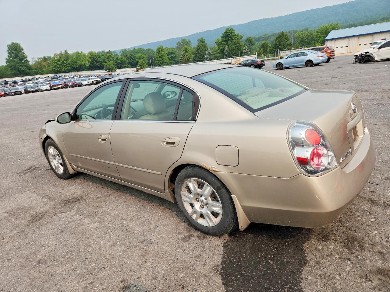 2006 Nissan Altima 2.5 Tan vin: 1N4AL11D96C143237