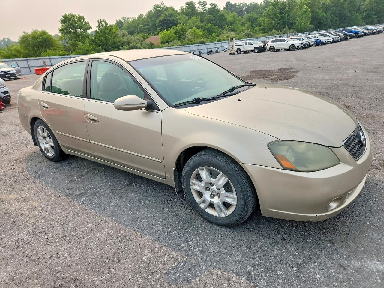 2006 Nissan Altima 2.5 Tan vin: 1N4AL11D96C143237