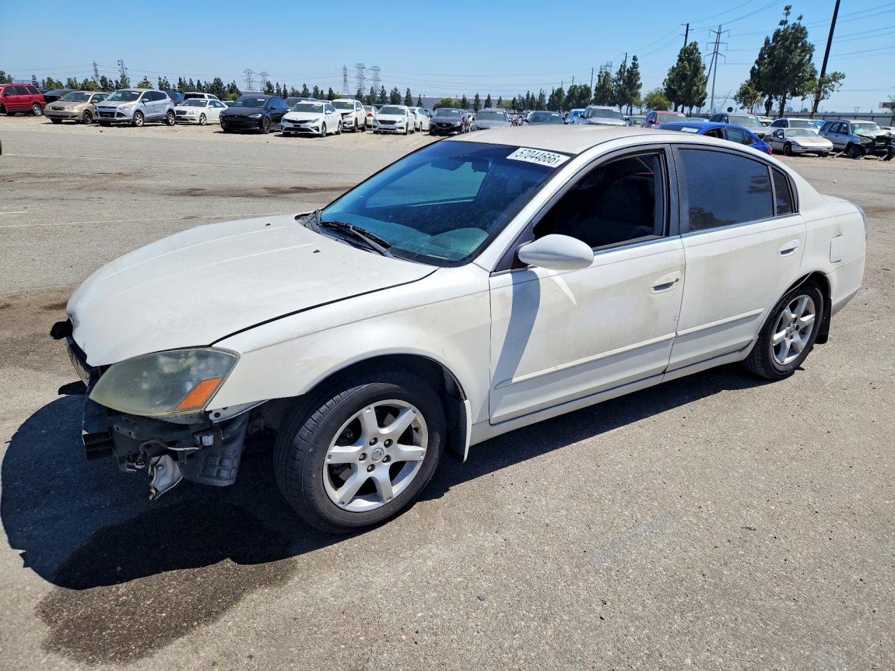 2006 Nissan Altima 2.5 Белый vin: 1N4AL11D96N392559