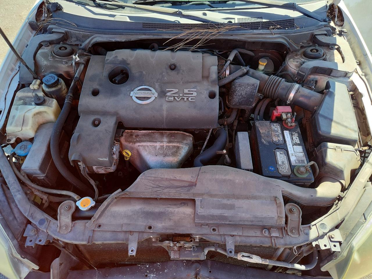 2006 Nissan Altima 2.5 White vin: 1N4AL11D96N392559