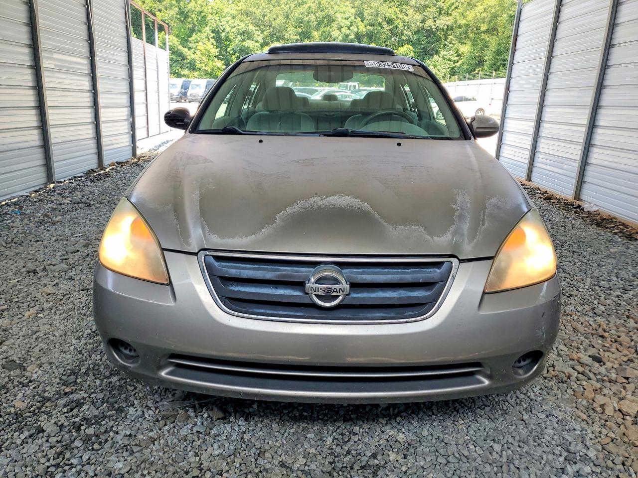 2003 Nissan Altima 2.5 Желто-коричневый vin: 1N4AL11DX3C110548