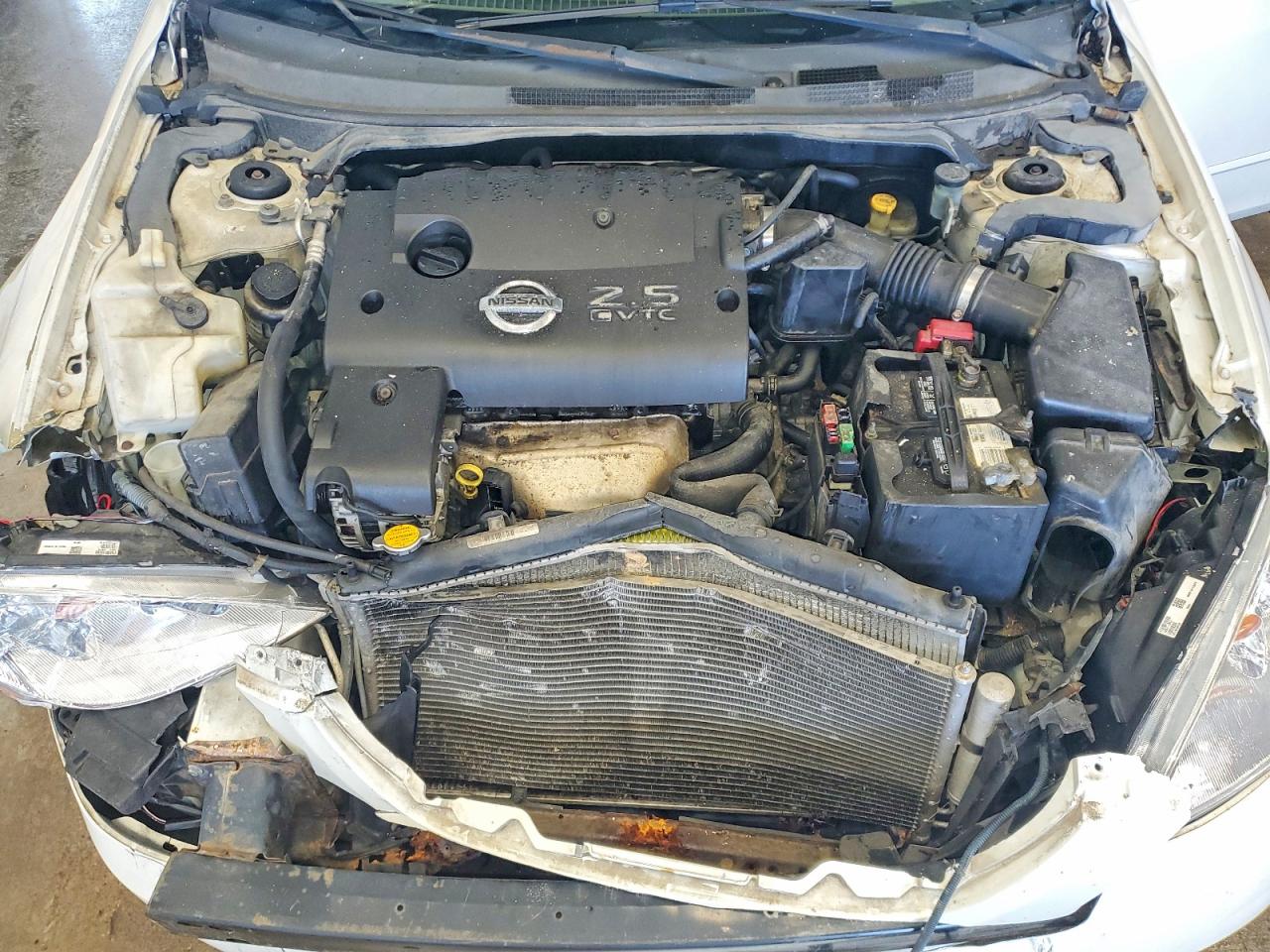 2003 Niss Altima Белый vin: 1N4AL11DX3C238210