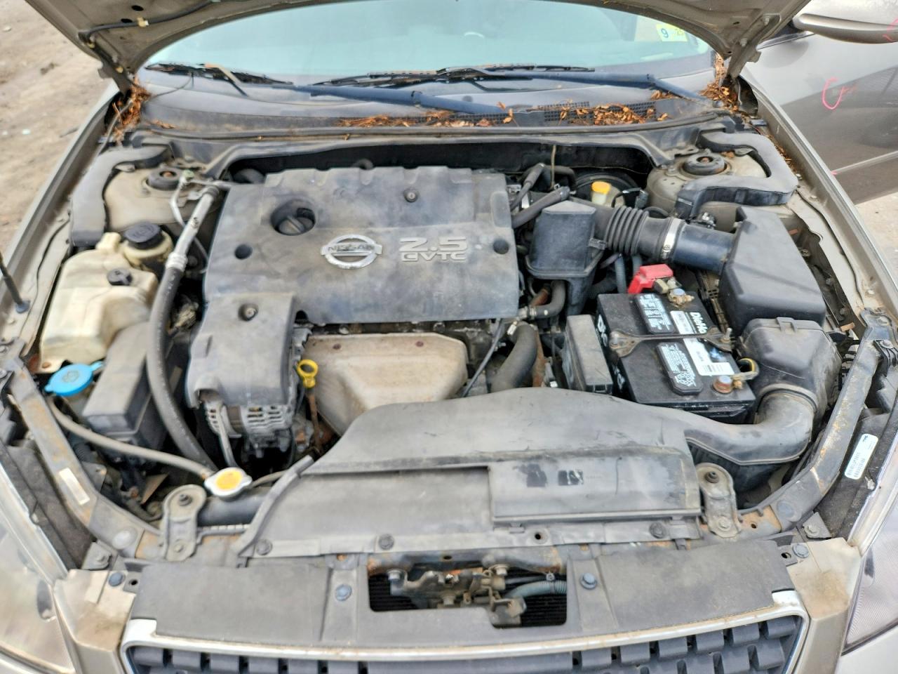 2006 Nissan Altima 2.5 S Beige vin: 1N4AL11E86C134764