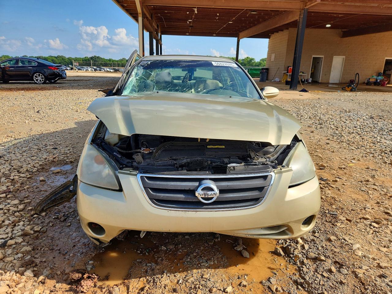 2003 Nissan Altima Base/s/sl Gold vin: 1N4AL11E93C254052