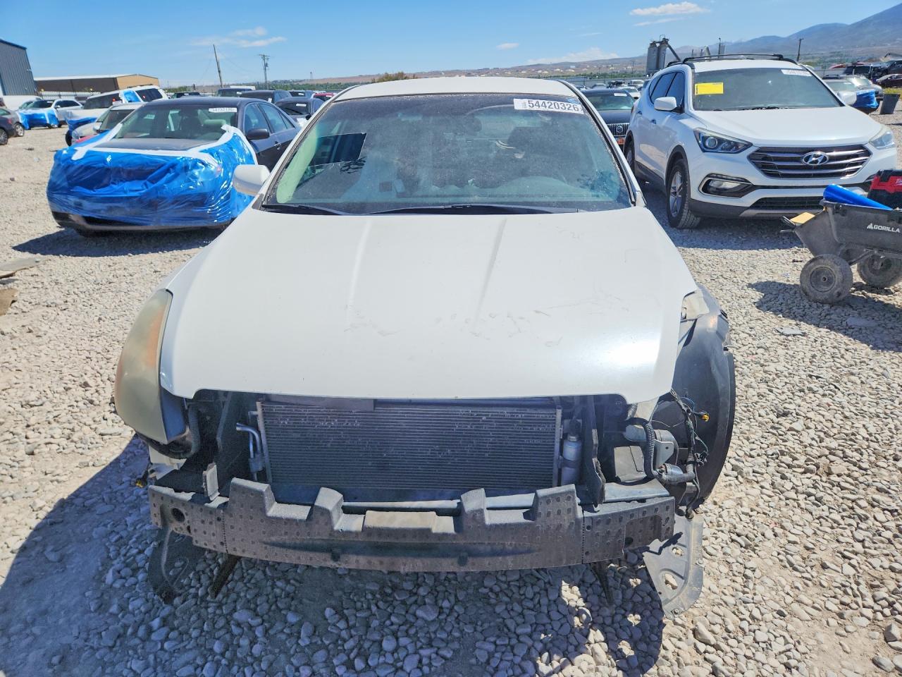 2009 Nissan Altima 2.5 Белый vin: 1N4AL21E19C126063
