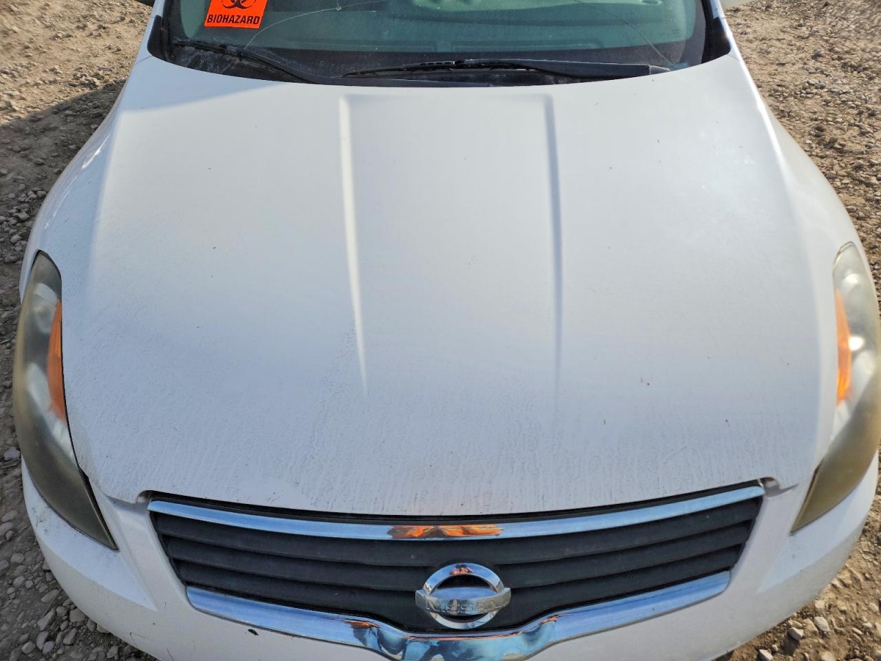2007 Nissan Altima Белый vin: 1N4AL21E27C173244