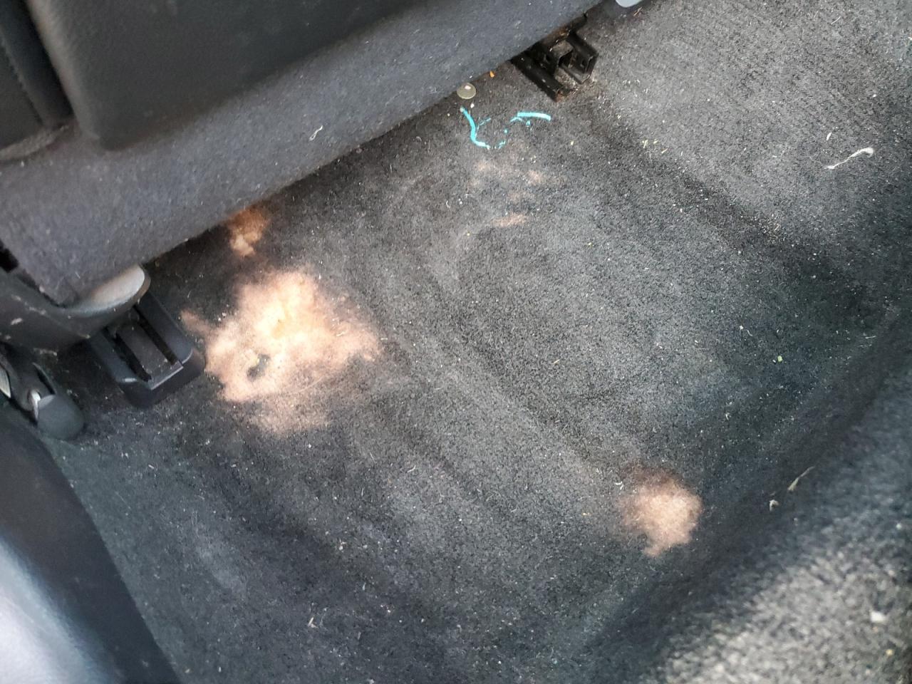 2008 Nissan Altima 2.5 White vin: 1N4AL21E38N430255 Damage: Left Rear Carpet, Stained, Permanent