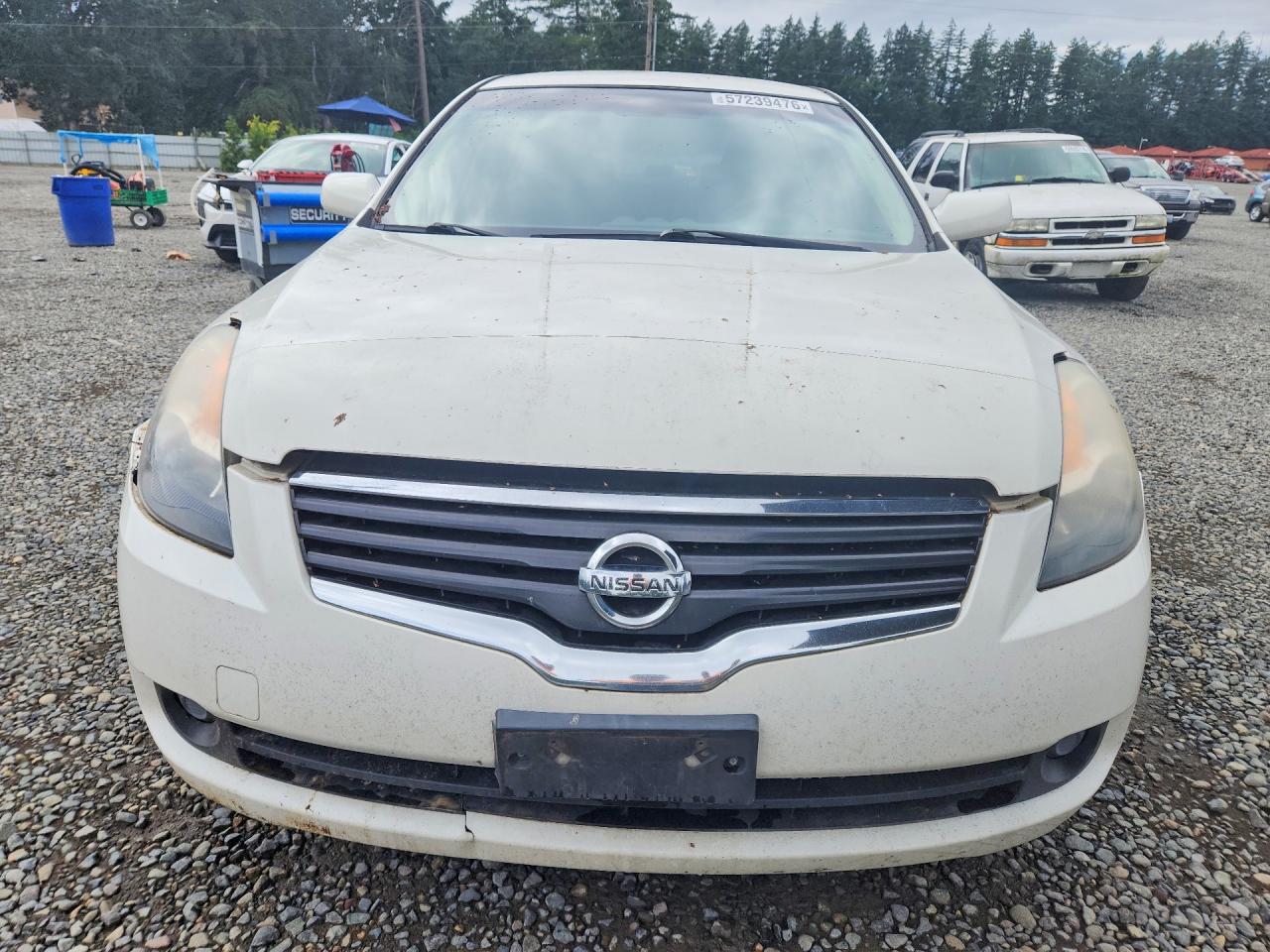 2009 Nissan Altima 2.5 Белый vin: 1N4AL21E99C102500