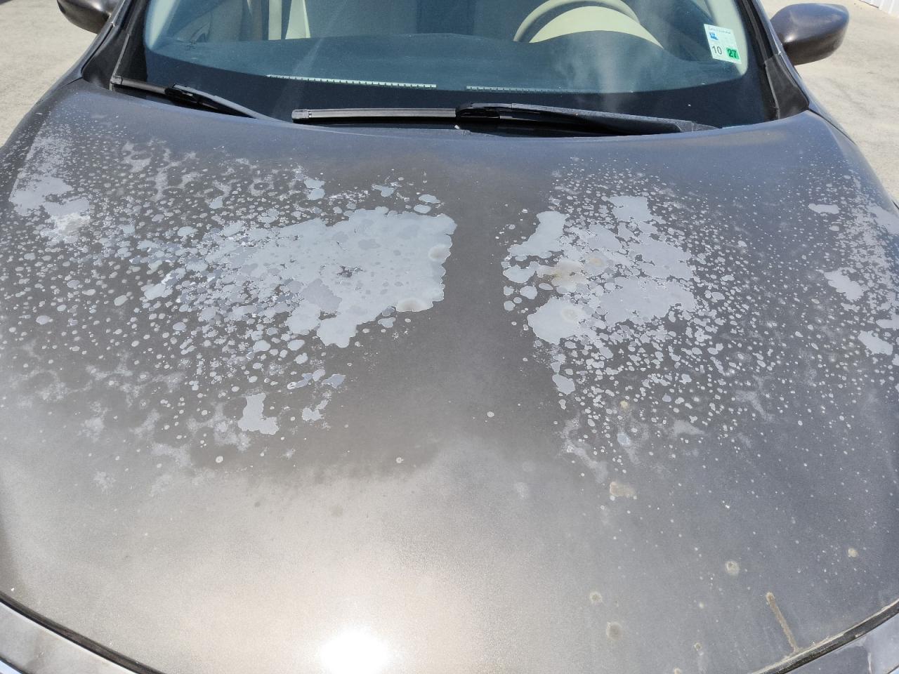 2013 Nissan Altima 2.5 Желто-коричневый vin: 1N4AL3AP4DN495651 Damage: Hood, Peeling, > 12 Inches