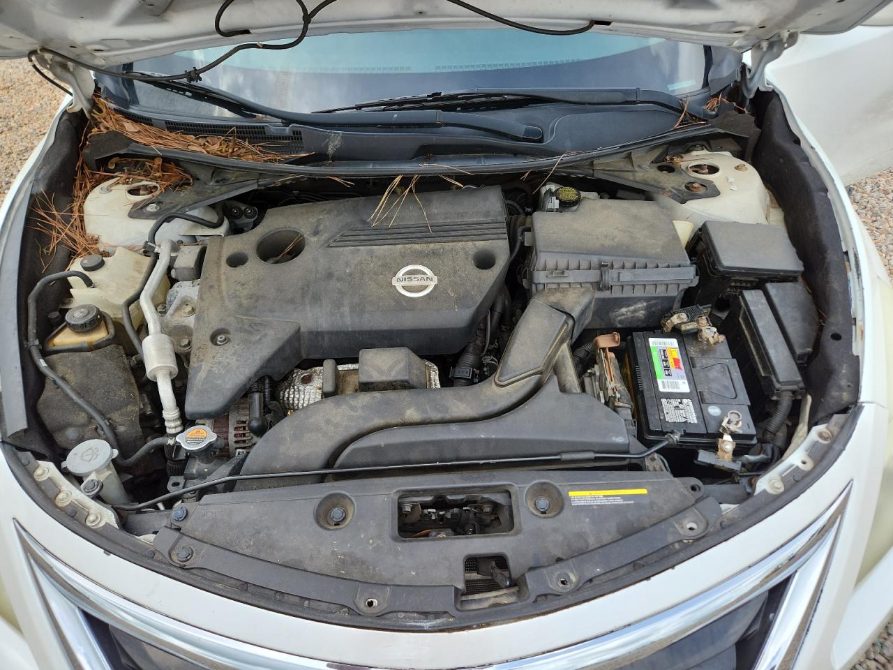 2013 Nissan Altima White vin: 1N4AL3AP8DN454620