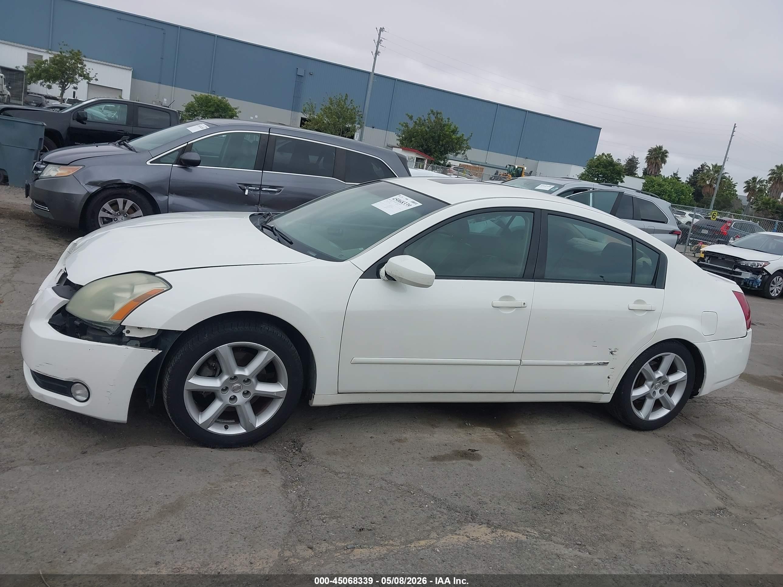 2004 Nissan Maxima 3.5 Se White vin: 1N4BA41E04C832634
