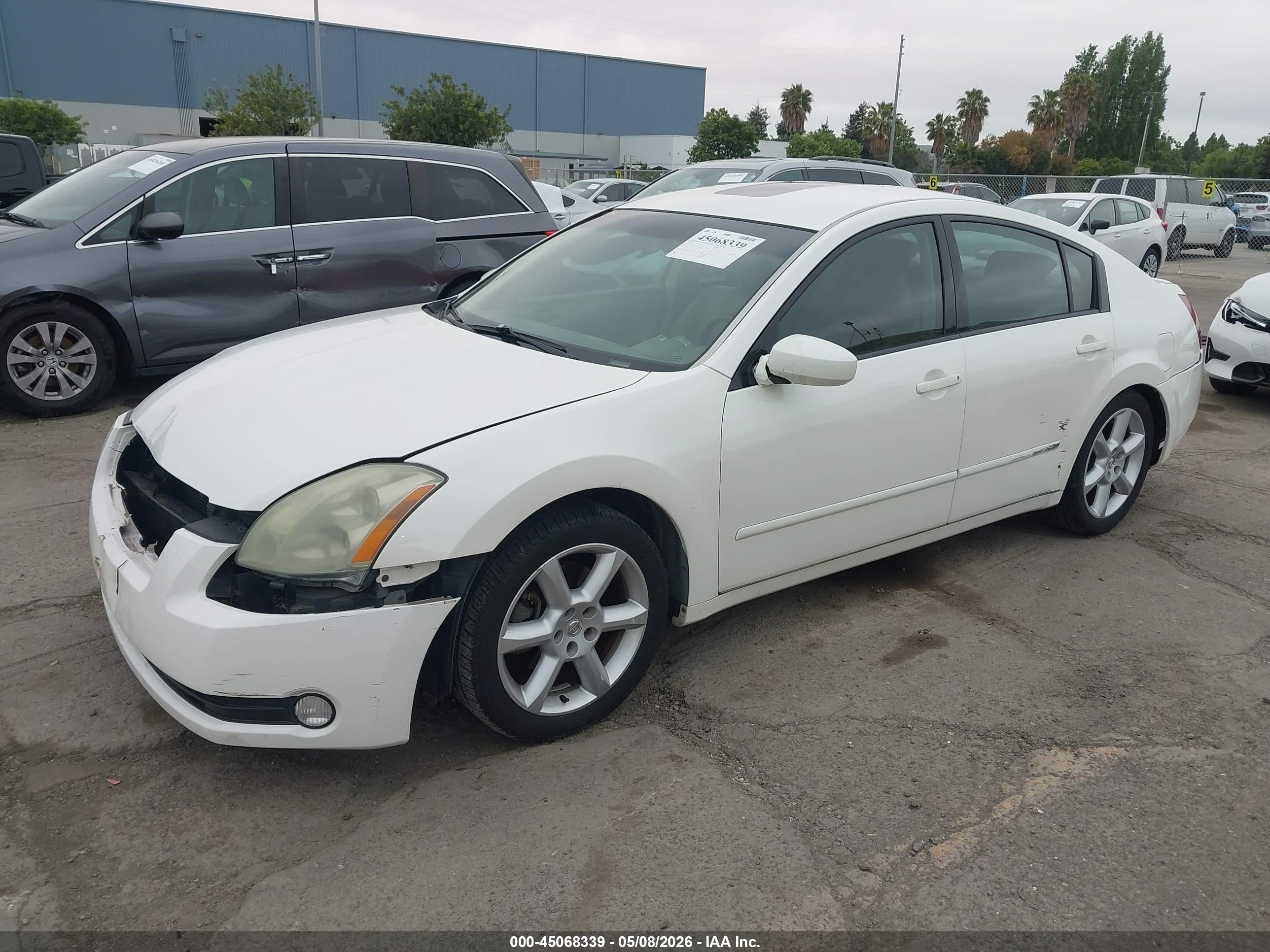 2004 Nissan Maxima 3.5 Se White vin: 1N4BA41E04C832634