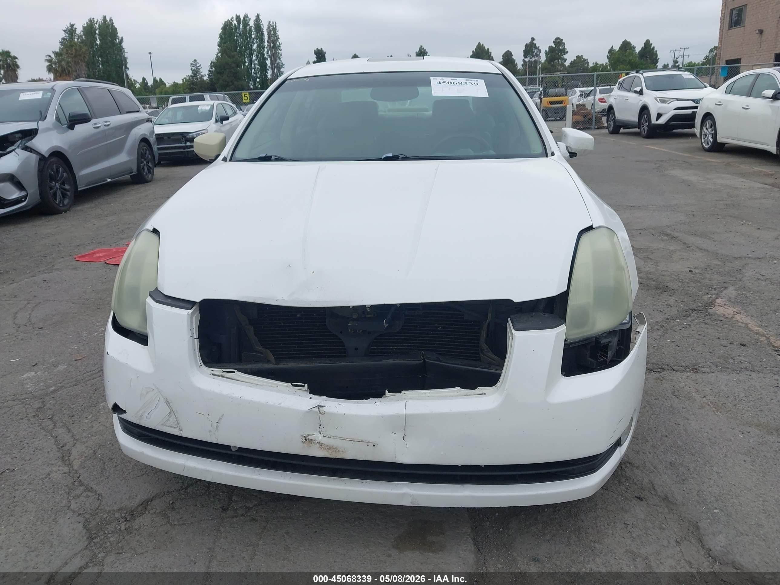 2004 Nissan Maxima 3.5 Se White vin: 1N4BA41E04C832634