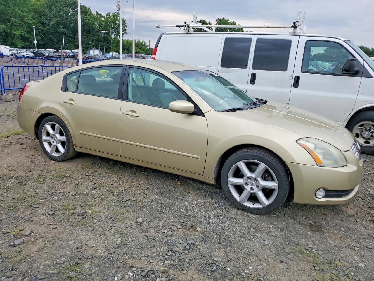 2004 Nissan Maxima 3.5 Se Золотой vin: 1N4BA41E04C876004