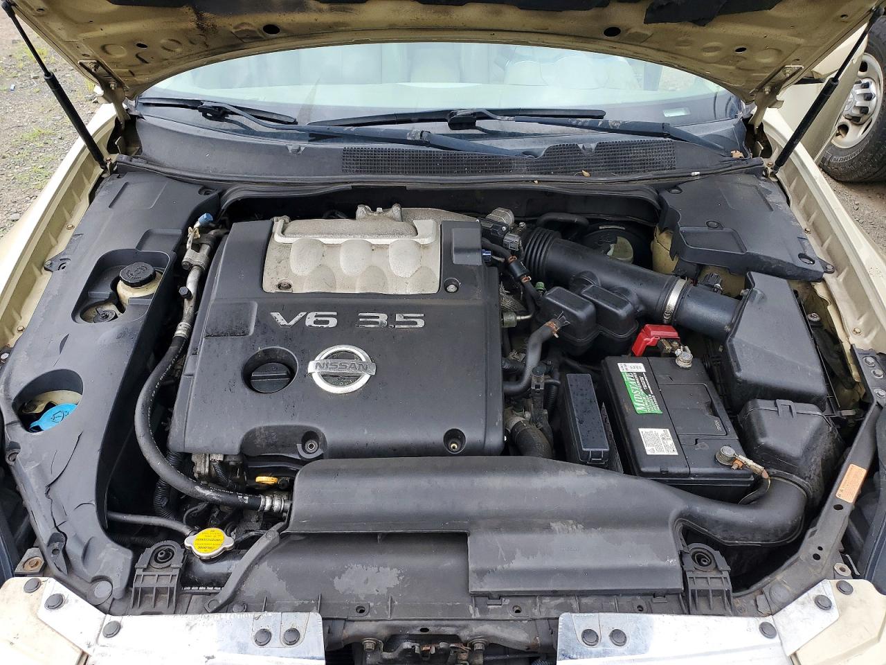 2004 Nissan Maxima 3.5 Se Золотой vin: 1N4BA41E04C876004
