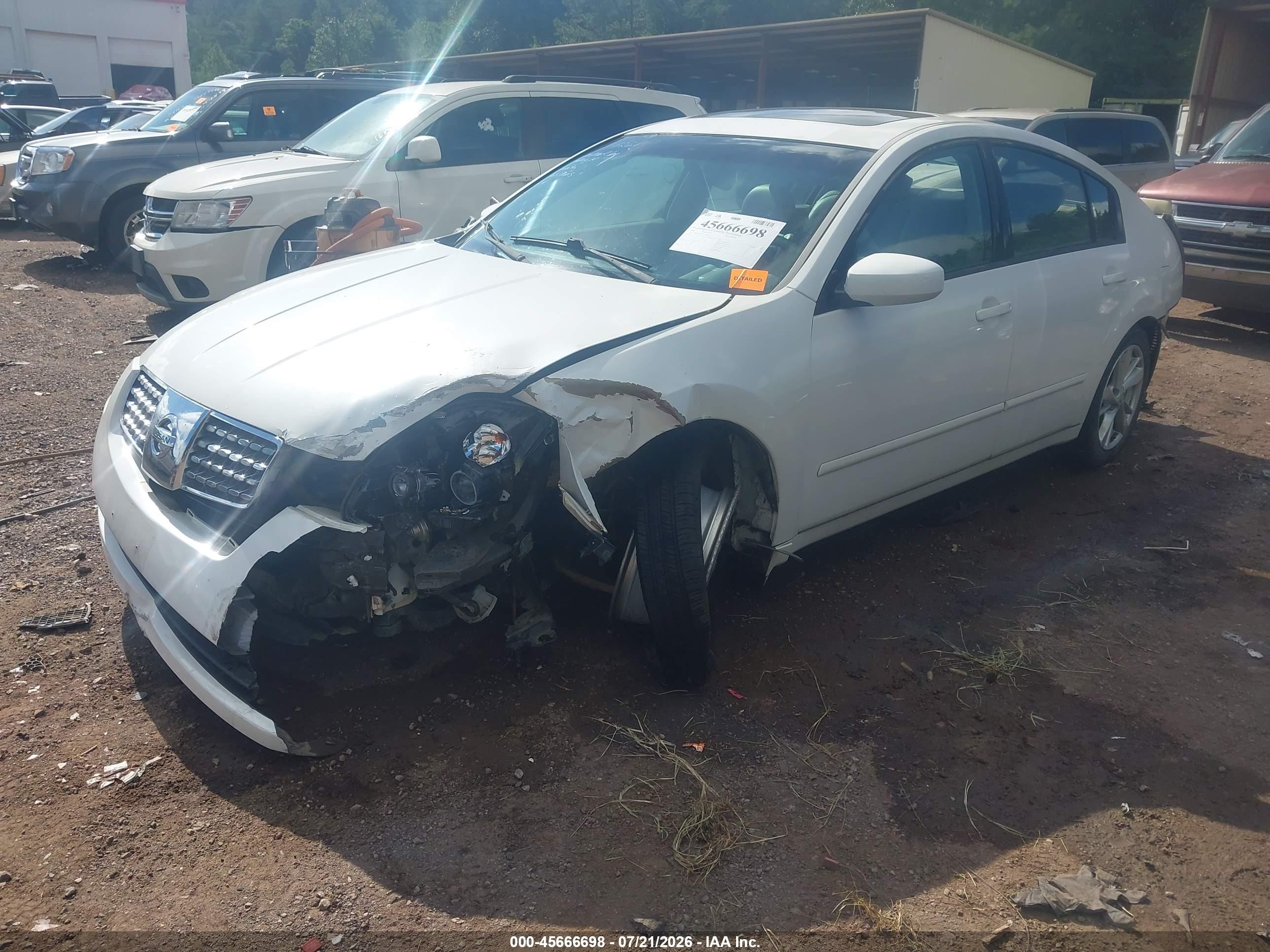 2006 Nissan Maxima 3.5 Se White vin: 1N4BA41E06C804805