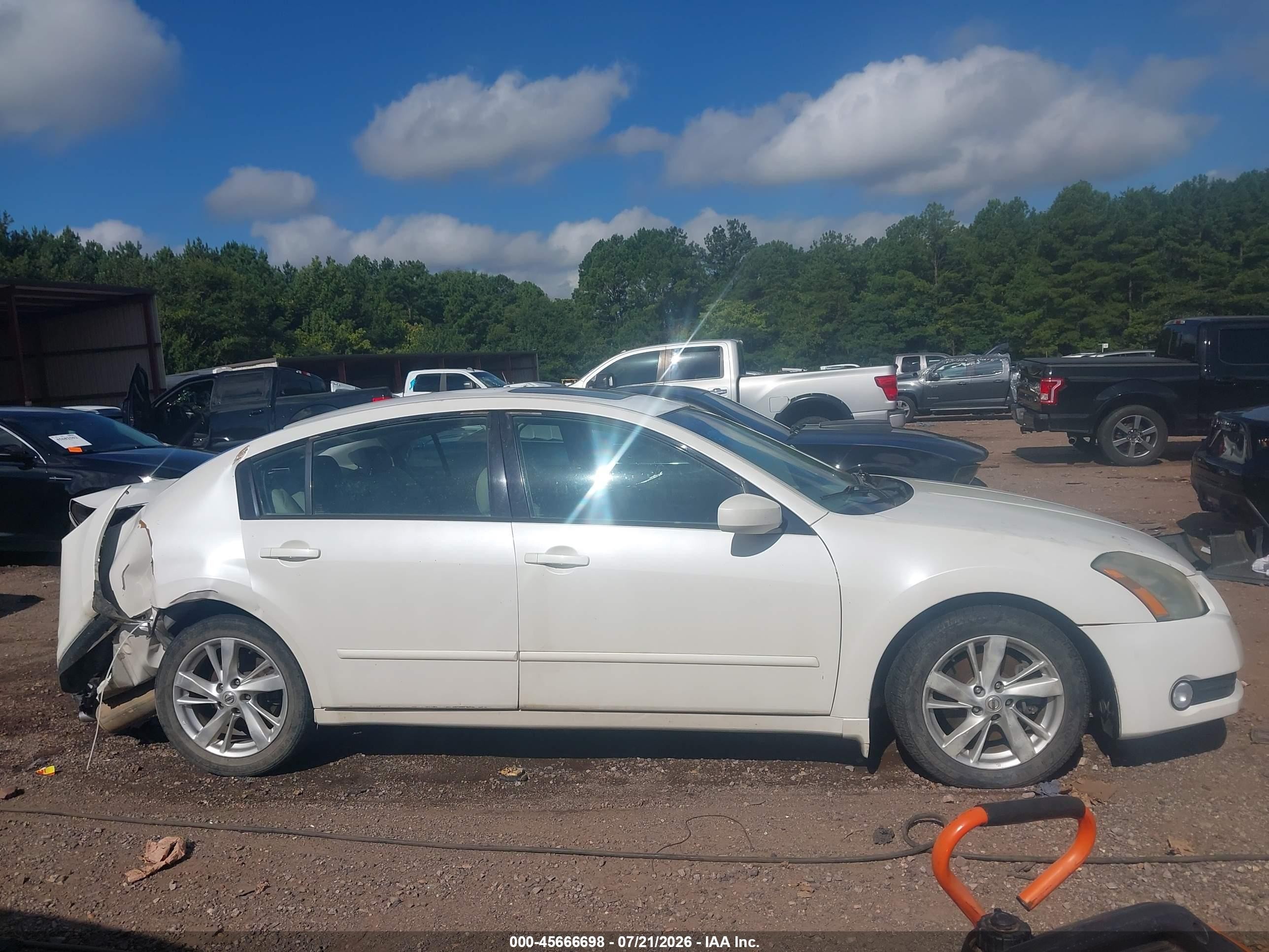 2006 Nissan Maxima 3.5 Se White vin: 1N4BA41E06C804805