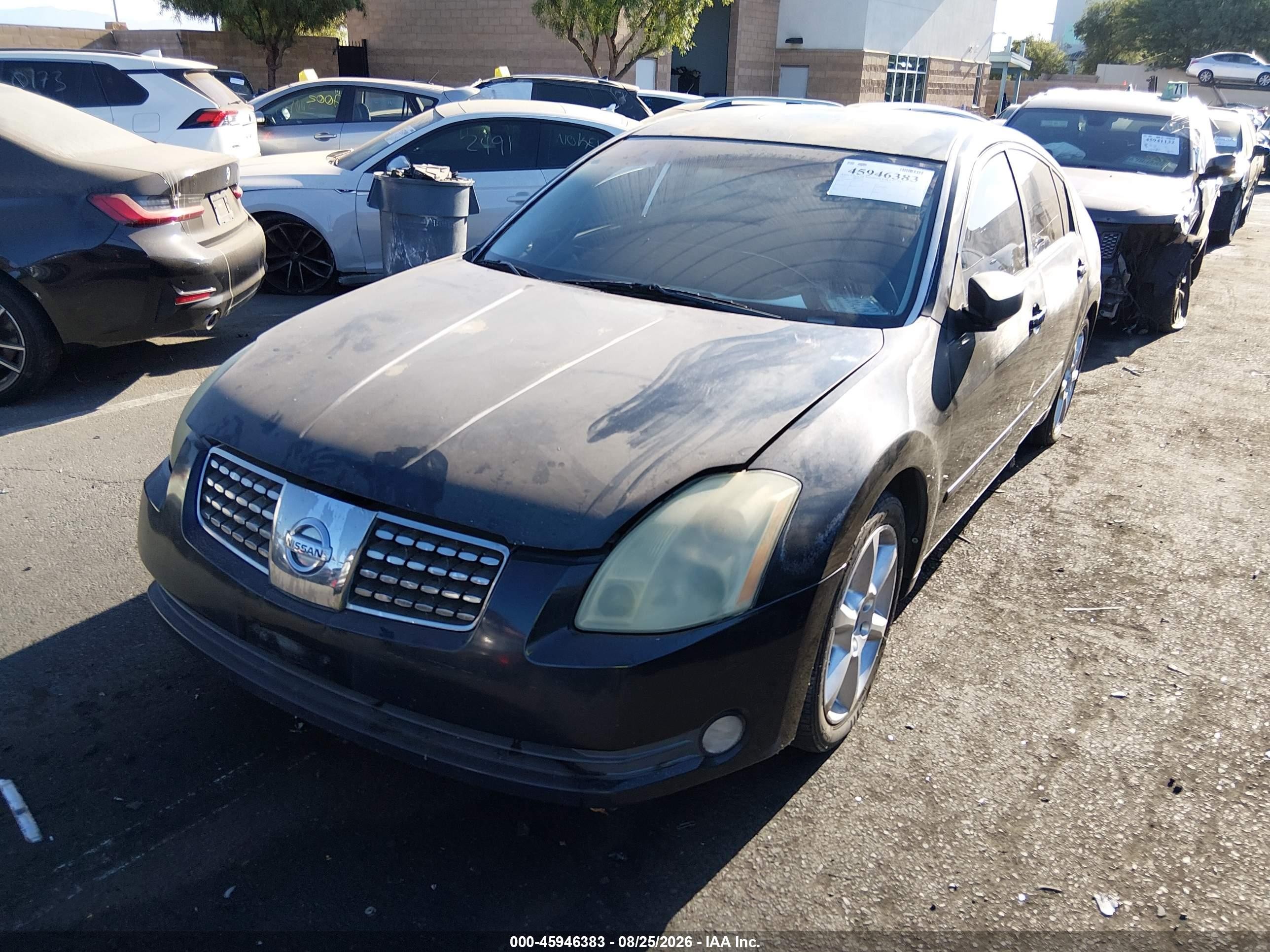 2006 Nissan Maxima 3.5 Se Black vin: 1N4BA41E06C836198