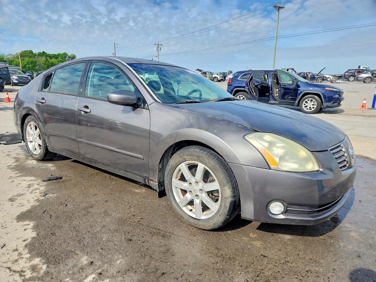2006 Nissan Maxima 3.5 Se Серый vin: 1N4BA41E06C850103