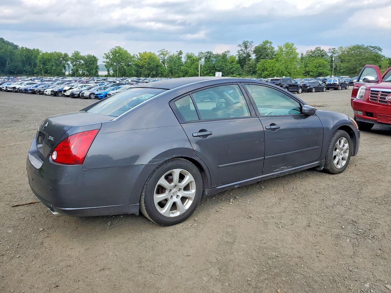 2007 Nissan Maxima 3.5 Se Gray vin: 1N4BA41E07C803655